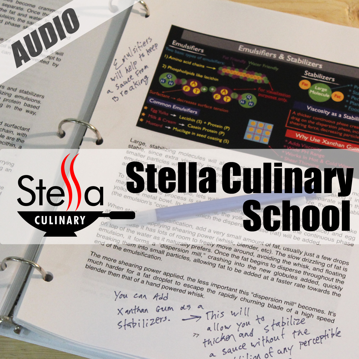 Stella Culinary School