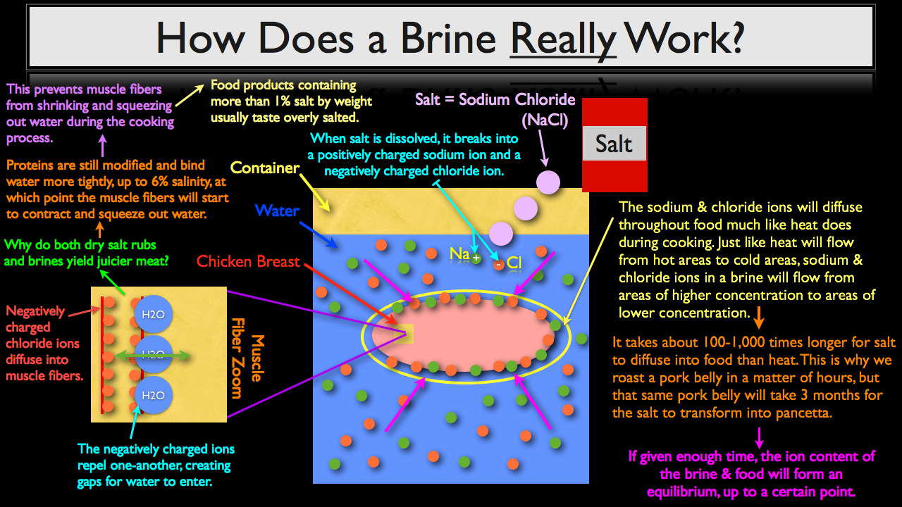 FS 002 The Science Behind Brining Four Part Video Lecture Stella 