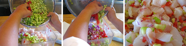 Halibut Ceviche - Step Four