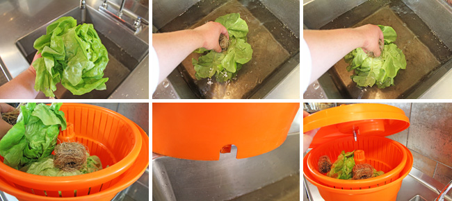 washing-lettuce-2.jpg (650×290)