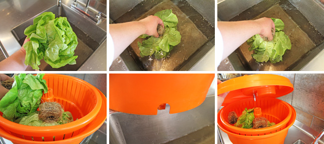 The Best Way to Wash, Dry, and Store Lettuce - Pinch My Salt