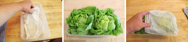 How to Wash and Store Salad Greens - Loveleaf Co.
