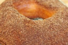 Cinnamon Sugar Doughnut Recipe