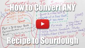 How to Convert Any Recipe To Sourdough - Video Lecture